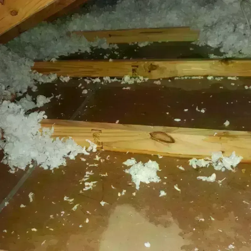 Attic Water Damage in Warrensburg, NY